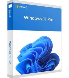 Windows 11 Pro (Download)
