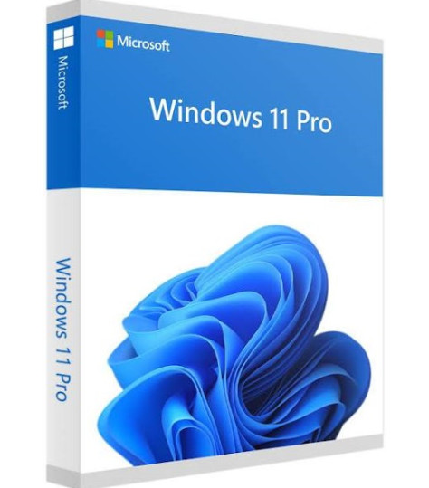 Windows 11 Pro (Download)