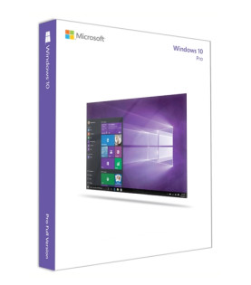Windows 10 Professional (Download)
