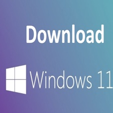 downloadwindowshometilpro.png