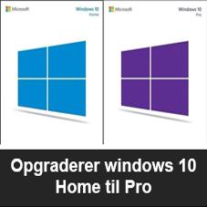 downloadwindowshometilpro.png